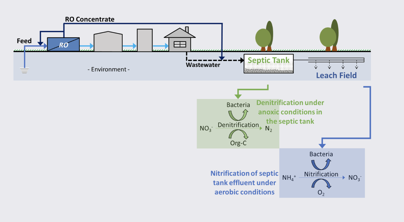 Diagram: concentrate from the RO system returns to the feed, while the waste stream flows to the property's septic tank, where anoxic conditions convert nitrate to nitrogen gas, and on to the leach field.